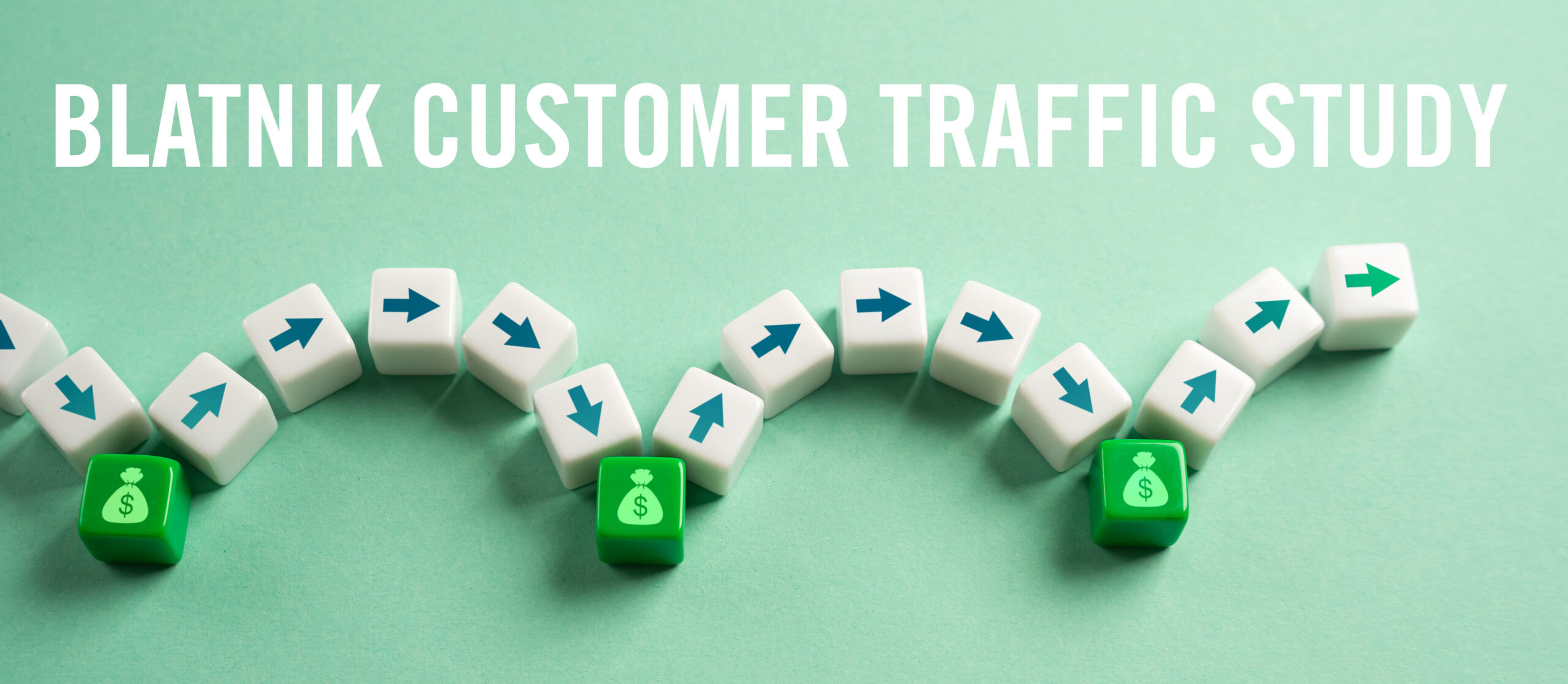 Blatnik Customer Traffic Study